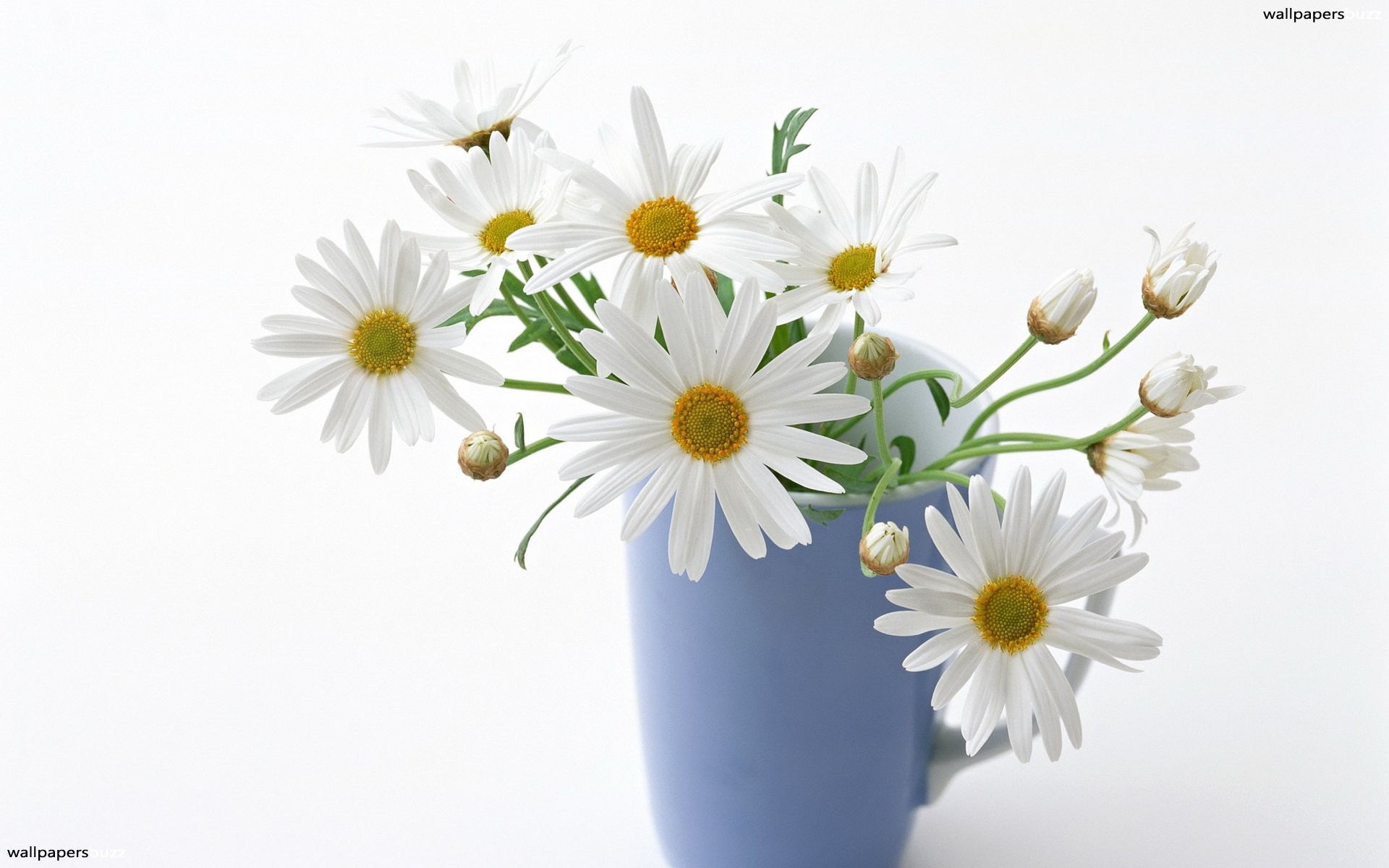 Coffee cup with flowers in it